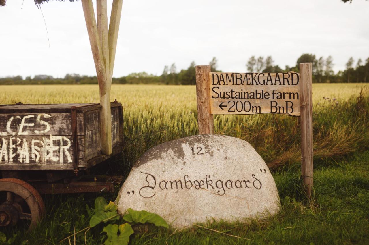 Villa Dambaekgaard Sustainable Farm à Harlev  Extérieur photo